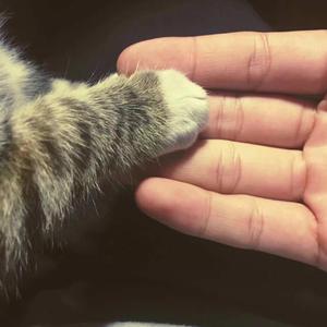 欧美精品18videosex性欧美cos
