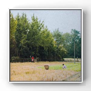 欧美精品18videosex性欧美cos
